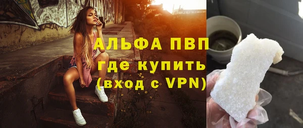индика Богородицк