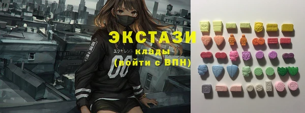 индика Богородицк