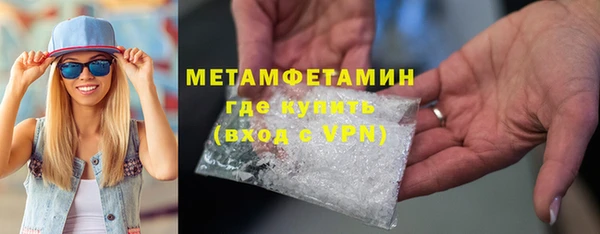 индика Богородицк