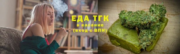 индика Богородицк