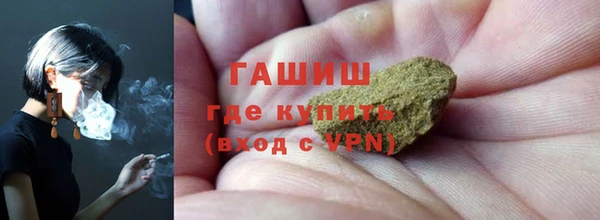 индика Богородицк
