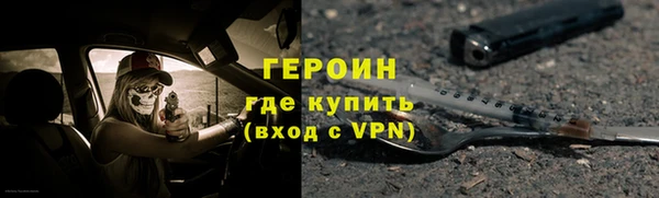 индика Богородицк