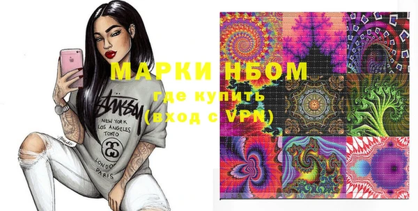 индика Богородицк