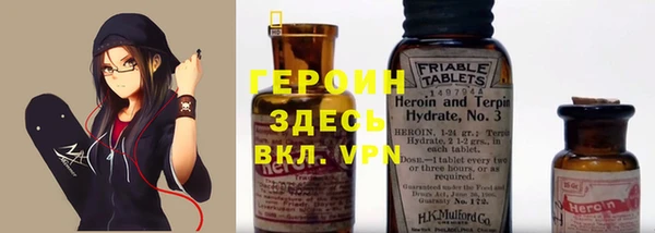 индика Богородицк