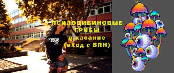 индика Богородицк