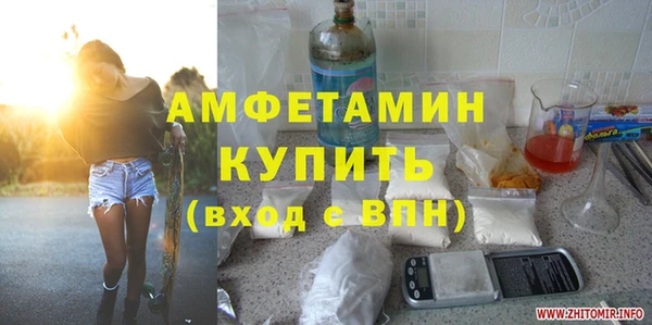 индика Богородицк