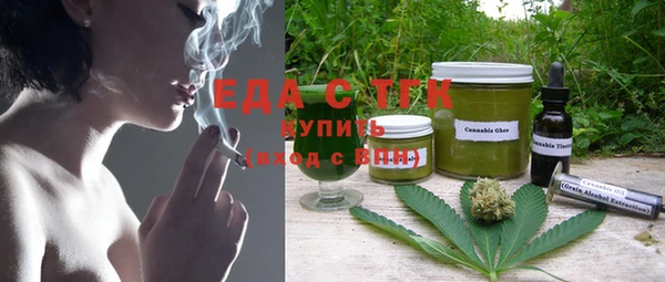 индика Богородицк