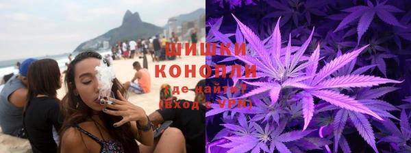 индика Богородицк